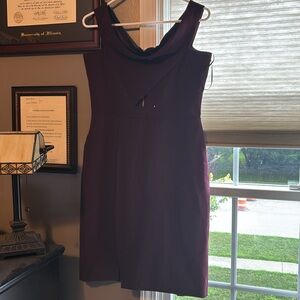 NEW Parker Purple One Shoulder Dress